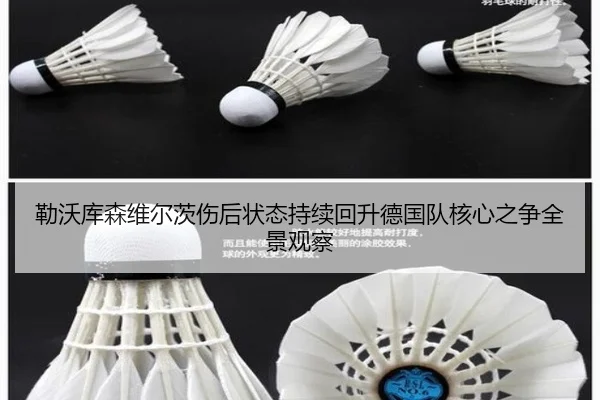 勒沃库森维尔茨伤后状态持续回升德国队核心之争全景观察